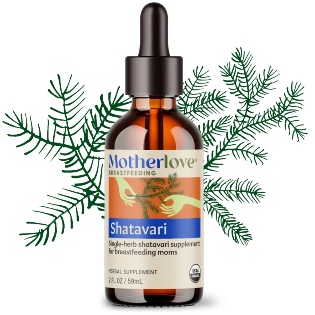 Motherlove - Shatavari Liquid Tincture 2oz