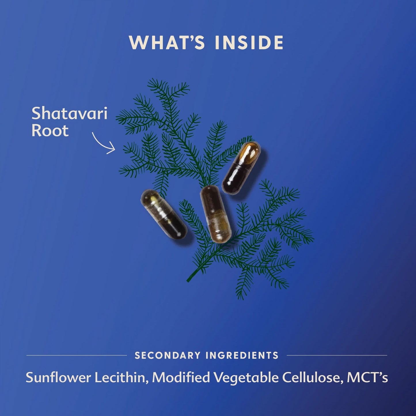 Motherlove Shatavari Liquid Capsules