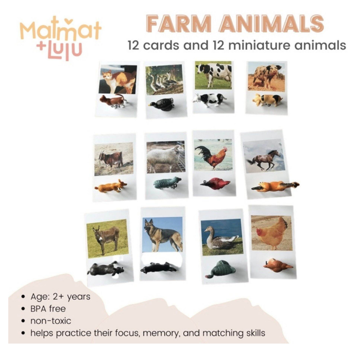 Matmat Lulu Match Educational Montessori Cards