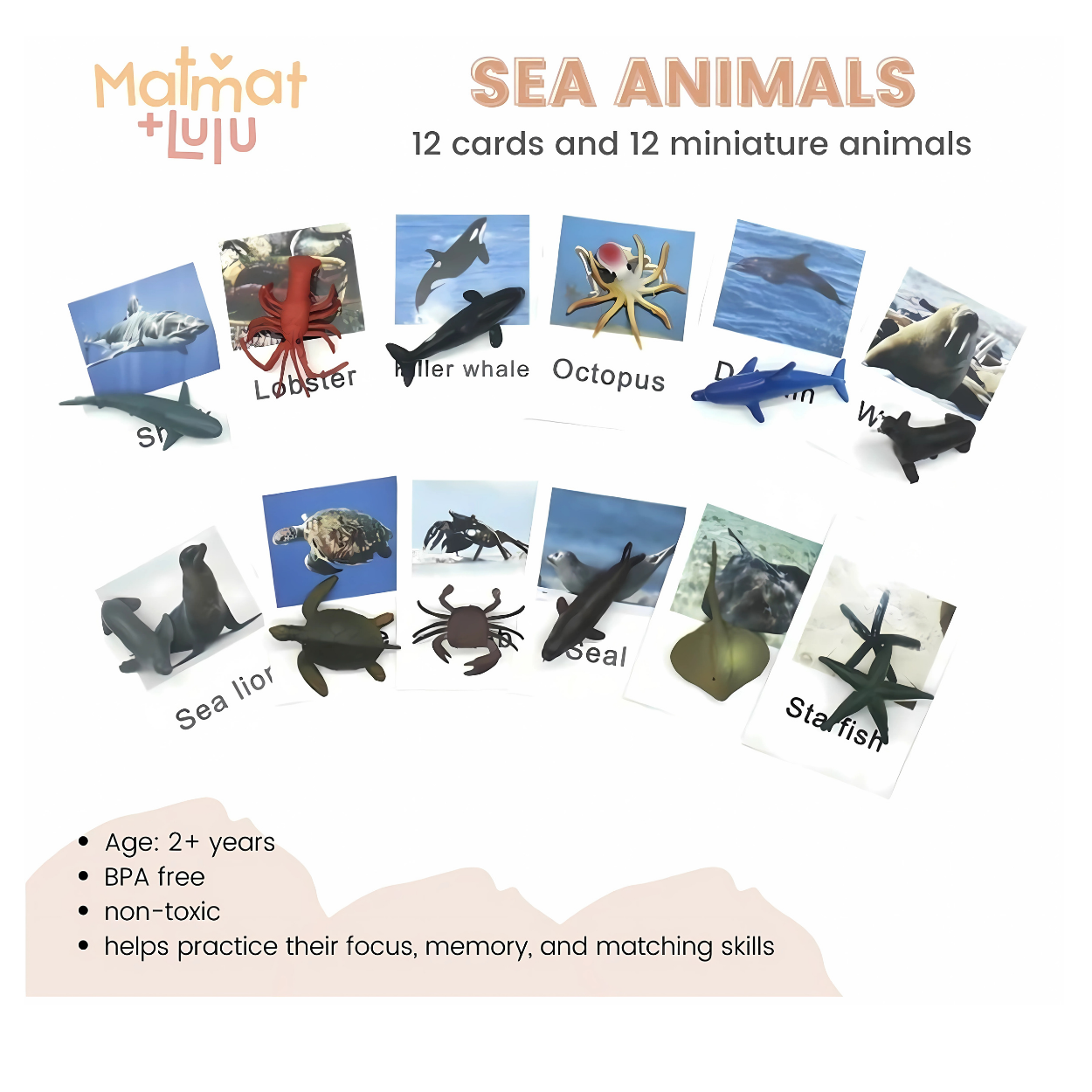 Matmat Lulu Match Educational Montessori Cards