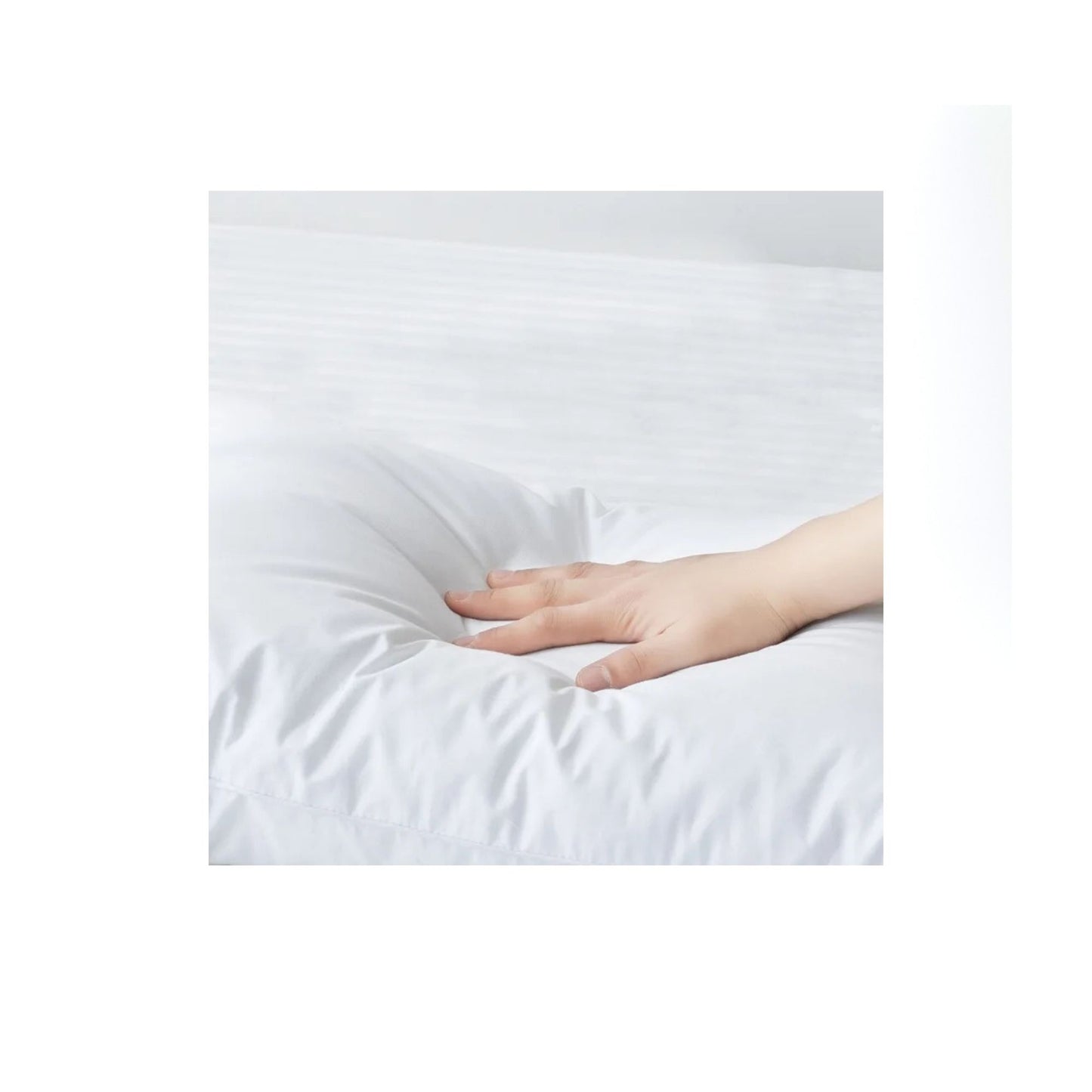 Boodada 100% Cotton Waterproof Pillowcase
