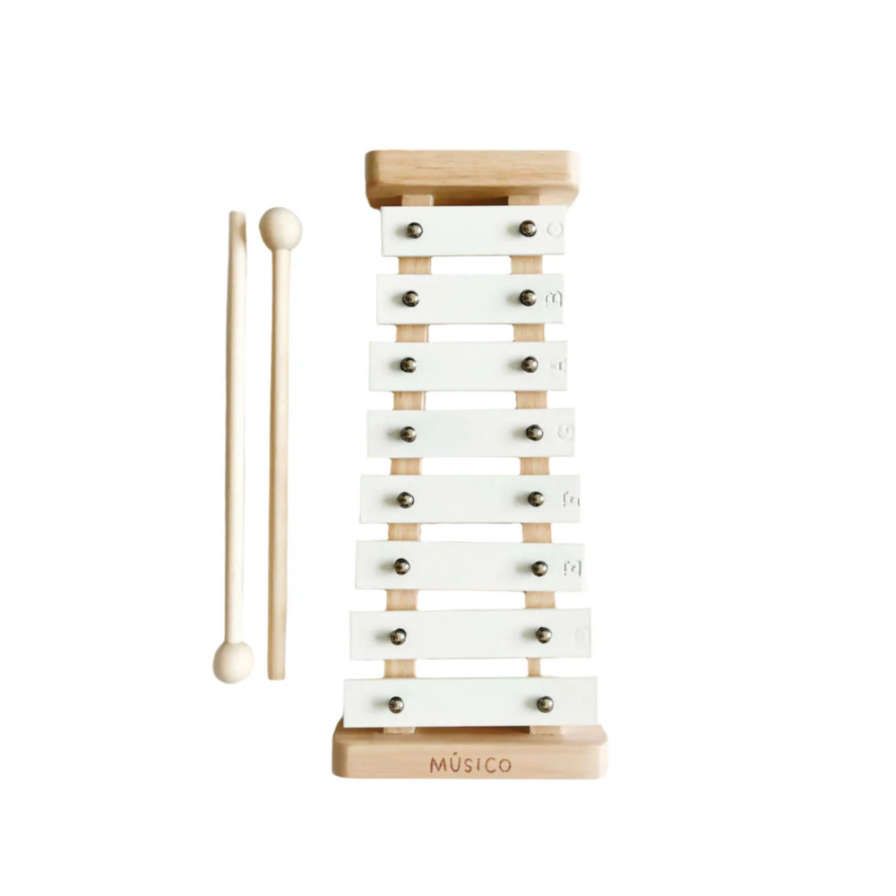 Músico Xylophone