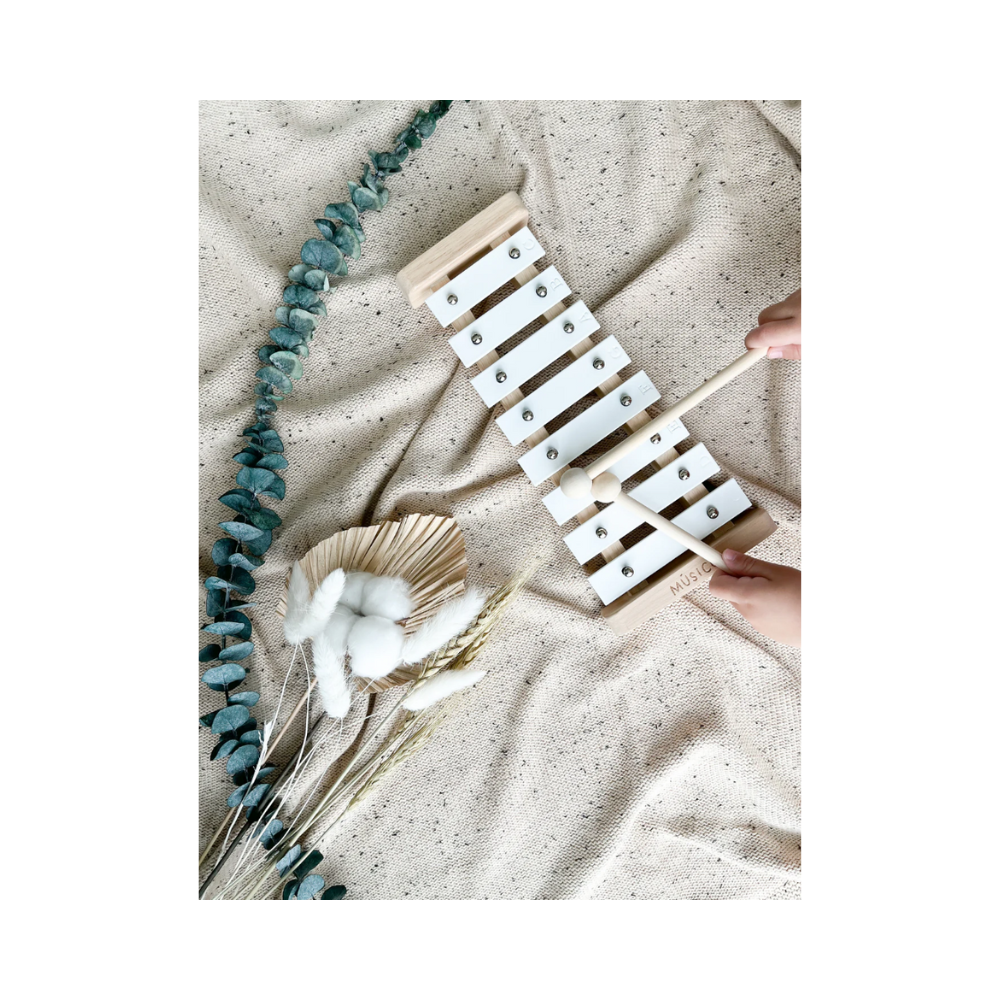 Músico Xylophone