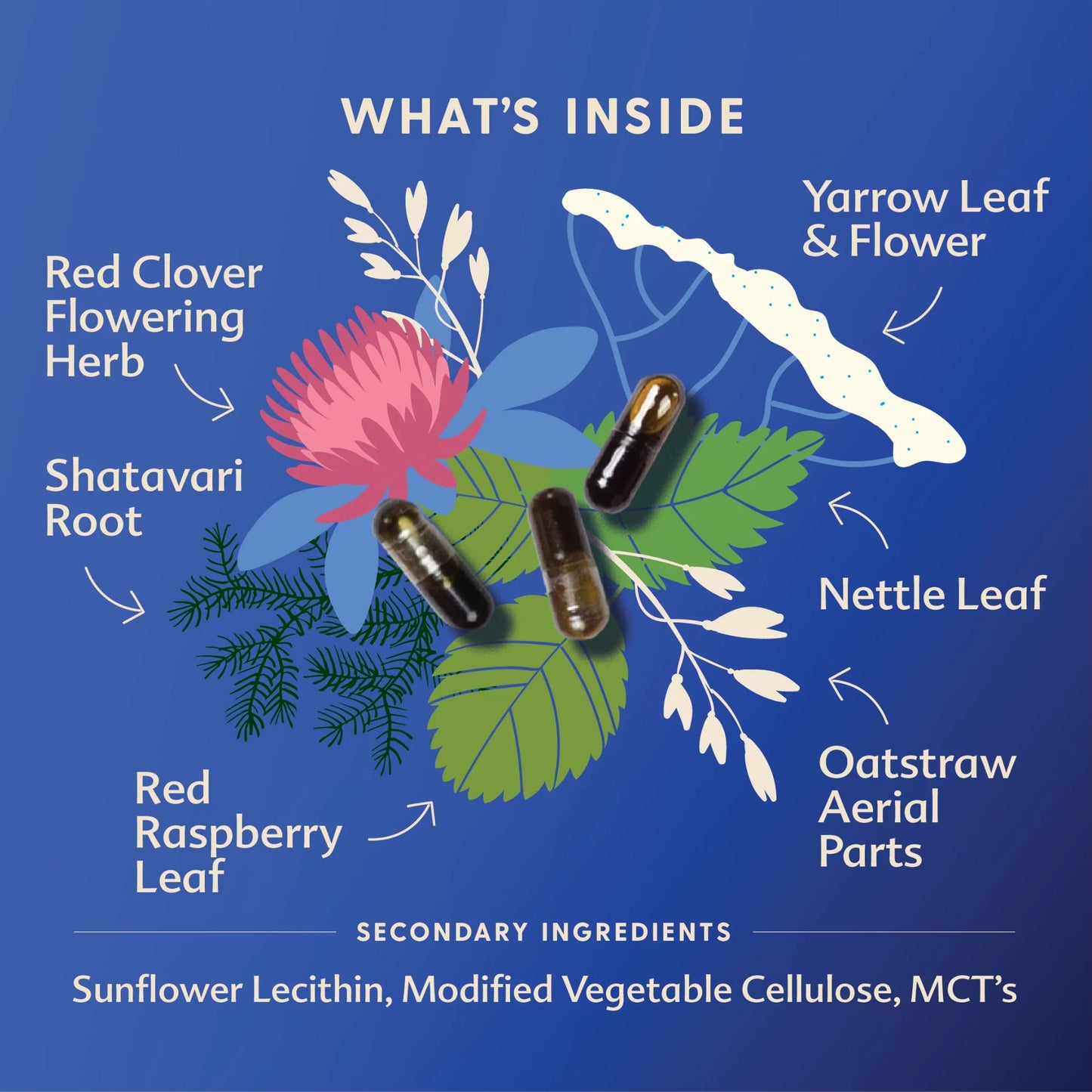 Motherlove Balancing Blend Liquid Capsules