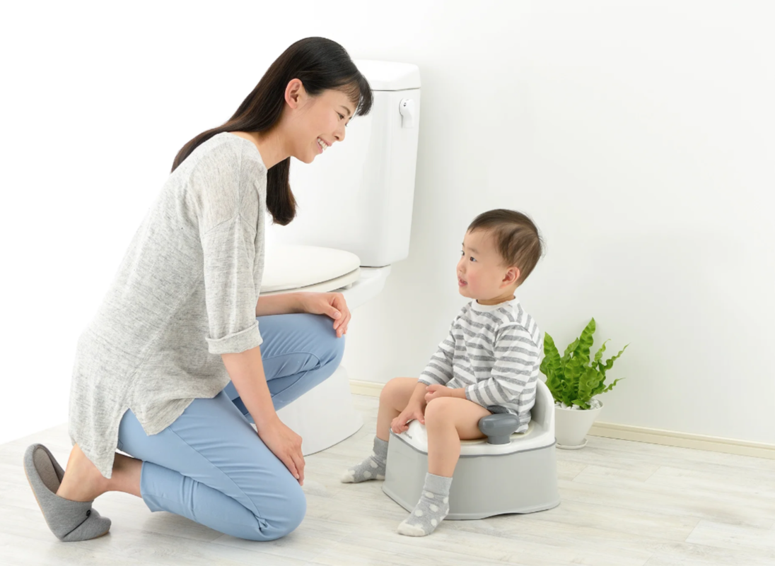 Richell Pottis Step & Potty K White