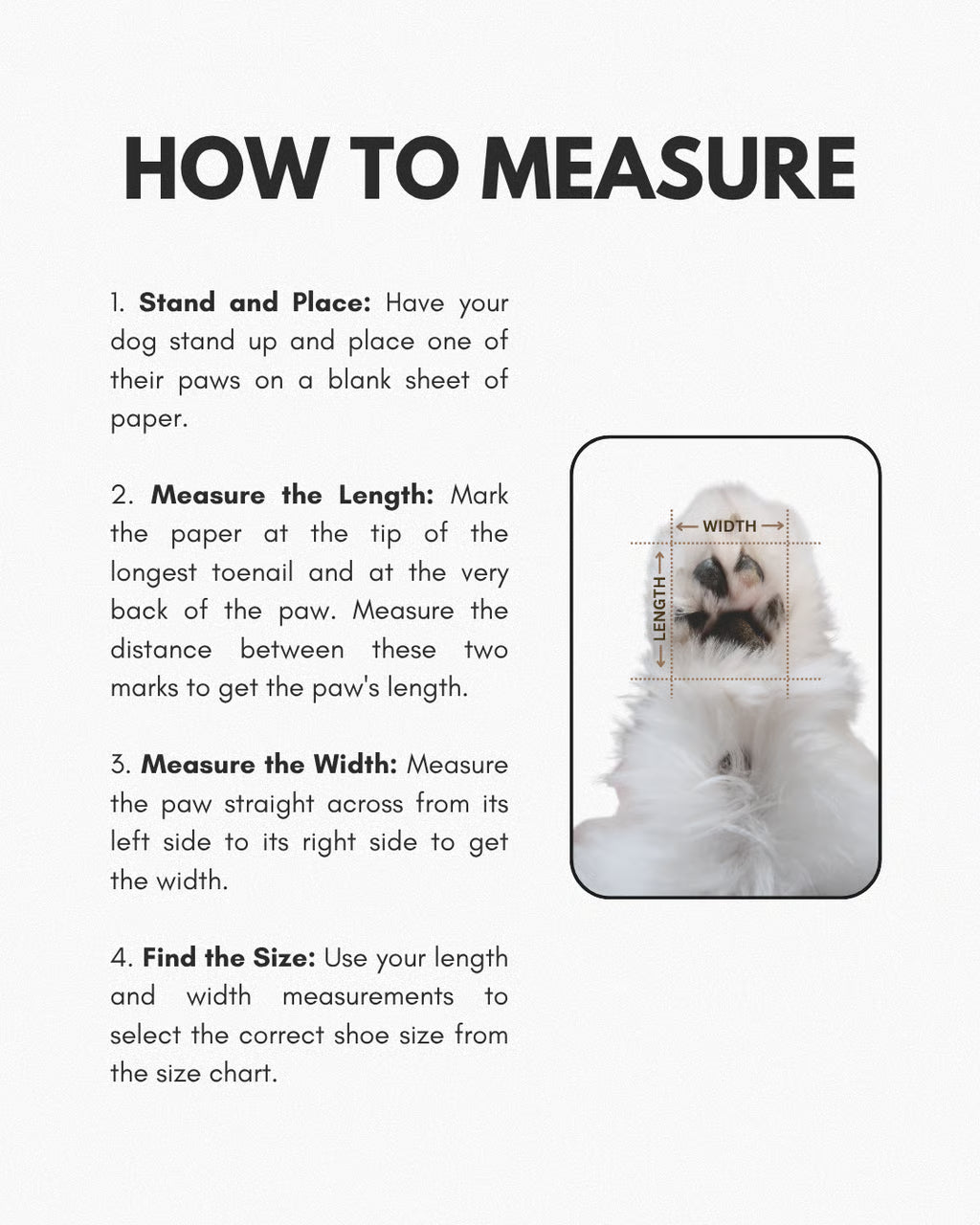 Nu Paws Nü Barestep in Pink Haze
