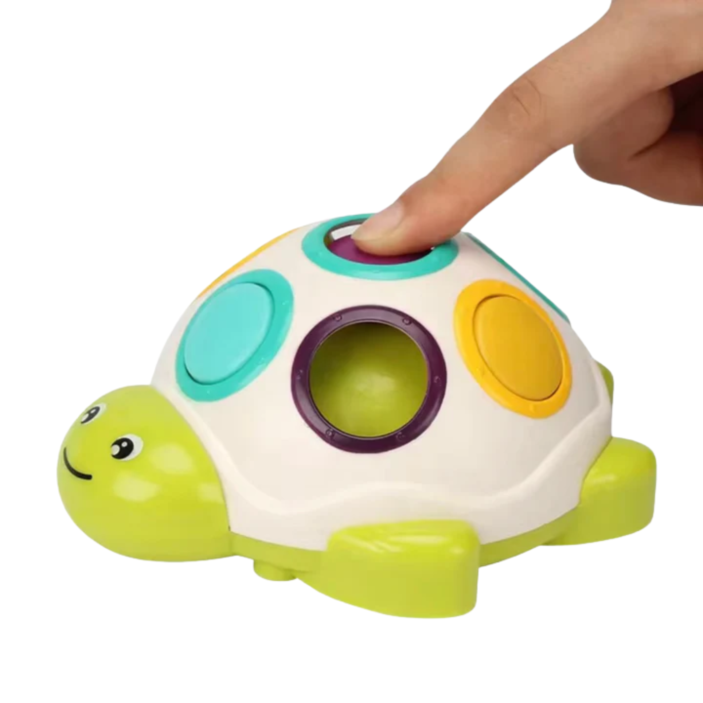 Little Fat Hugs Sliding Turtle