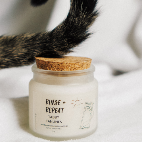 Rinse & Repeat Scented Soy Candles