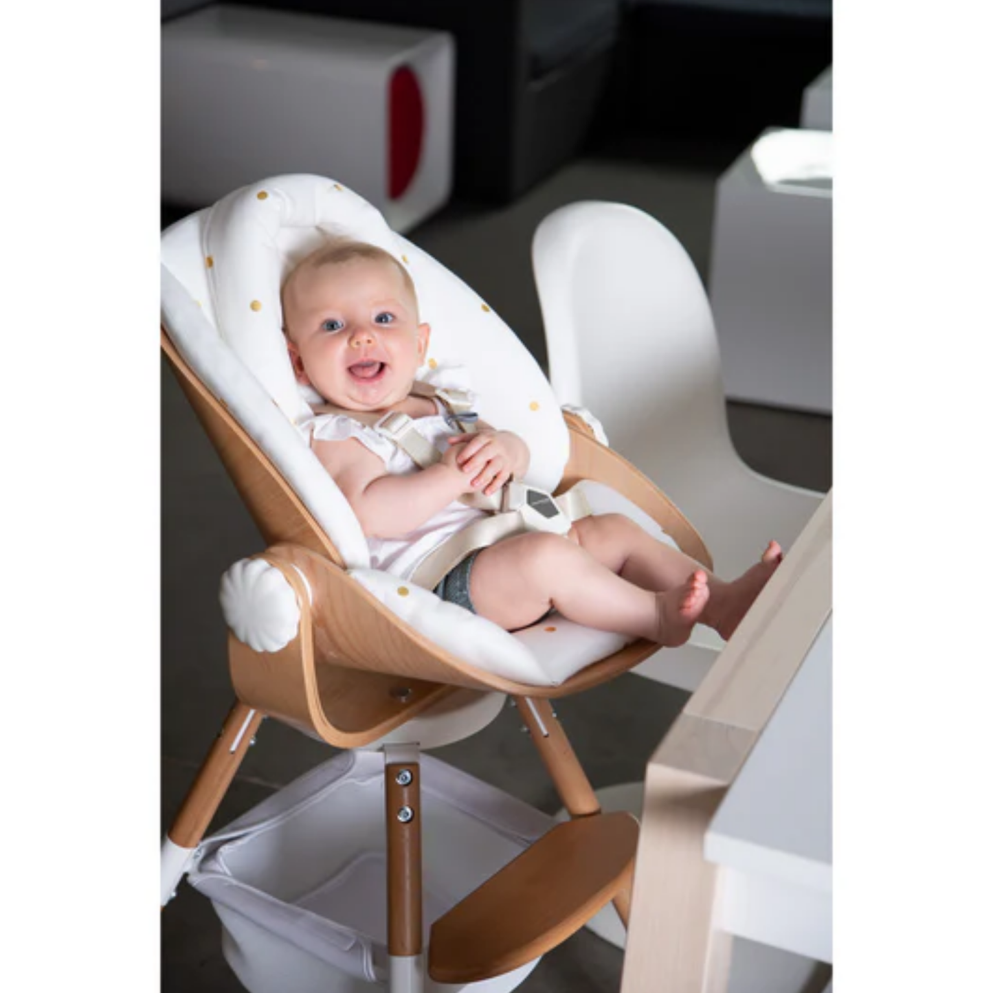 Beaba Evolu Newborn Seat Cushion