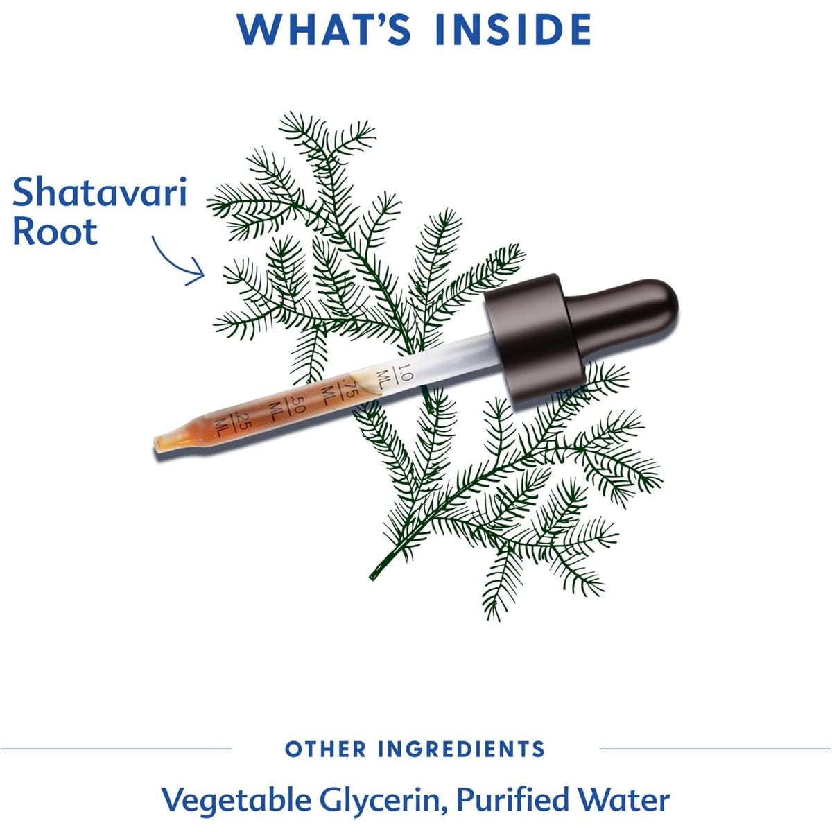 Motherlove - Shatavari Liquid Tincture 2oz