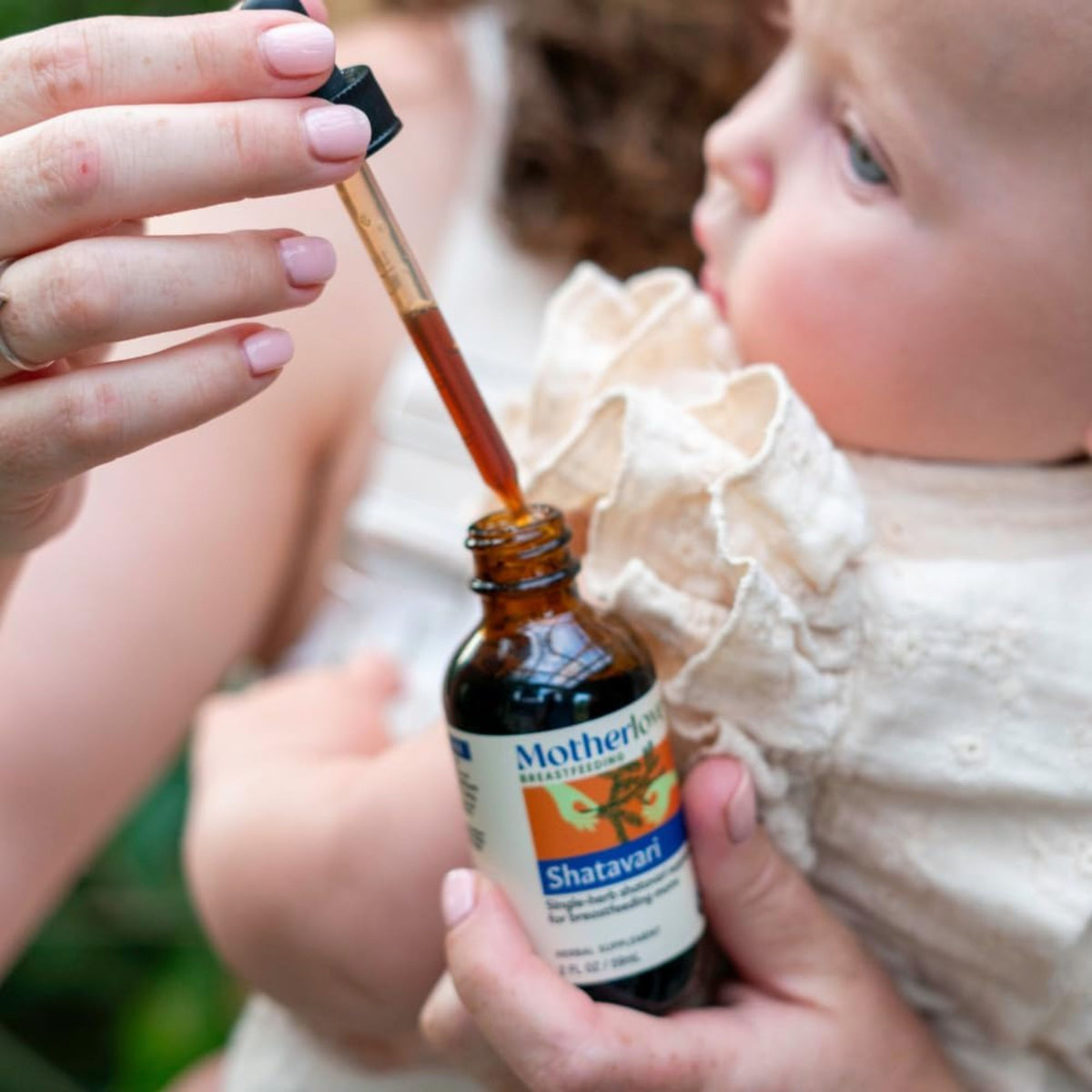 Motherlove - Shatavari Liquid Tincture 2oz
