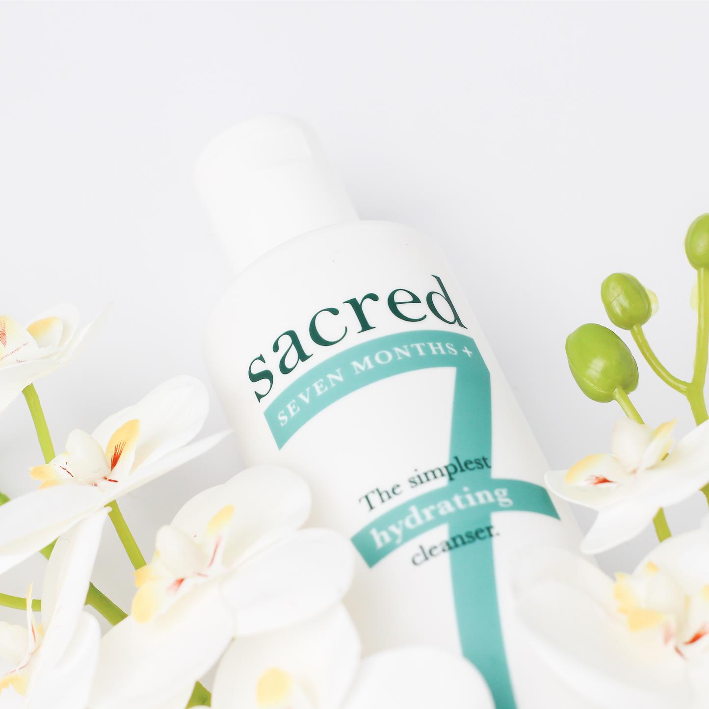 Bundle of 3 | Sacred 7+ Hydrating Cleanser