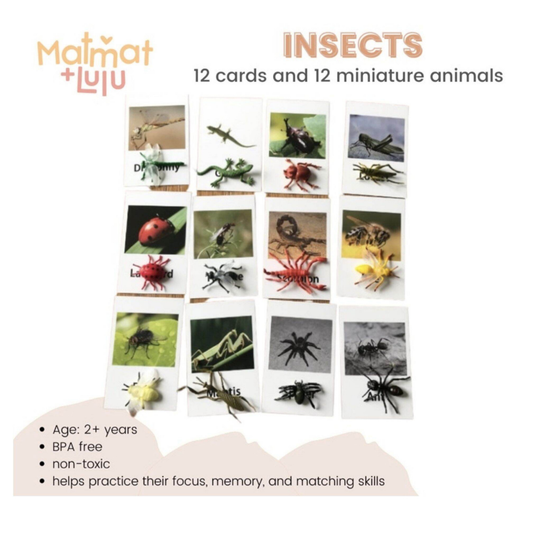 Matmat Lulu Match Educational Montessori Cards