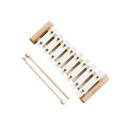 Músico Xylophone